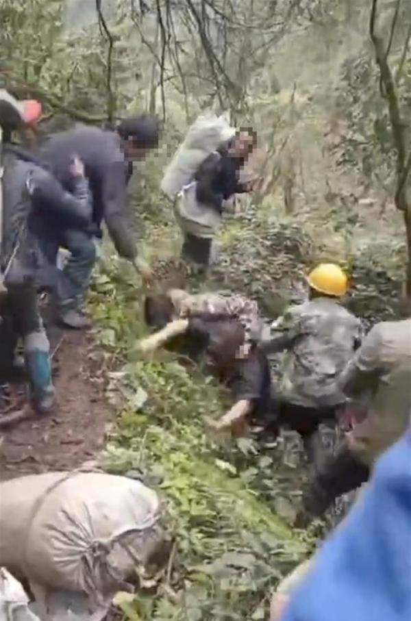 云南村民在山上挖笋发生冲突，多人受伤，为了笋值得吗？