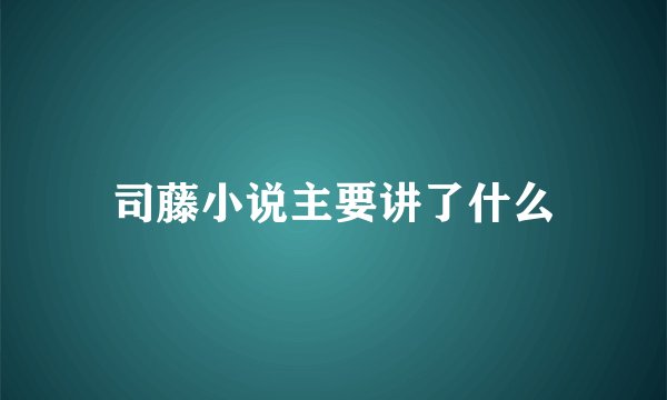 司藤小说主要讲了什么