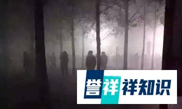 人民币加入SDR，真有那么神？