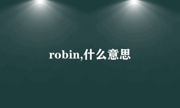 robin,什么意思