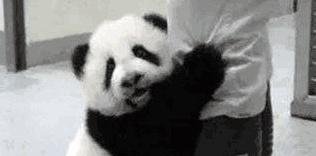 郑渊洁举报拼多多，盗版是刑事犯罪，了解一下