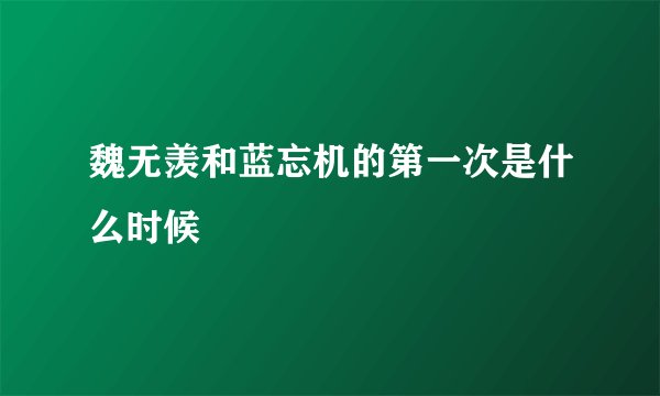 魏无羡和蓝忘机的第一次是什么时候