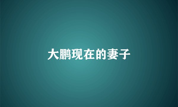 大鹏现在的妻子
