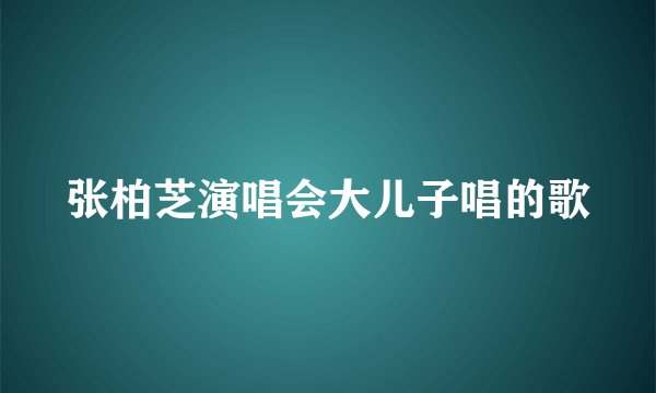张柏芝演唱会大儿子唱的歌