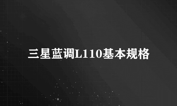 三星蓝调L110基本规格