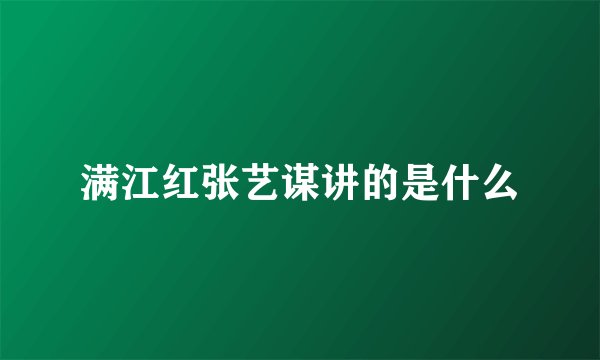 满江红张艺谋讲的是什么