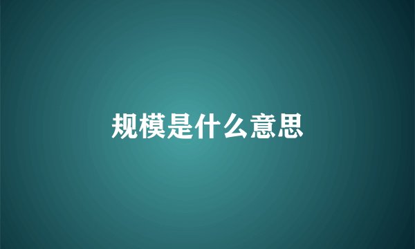 规模是什么意思