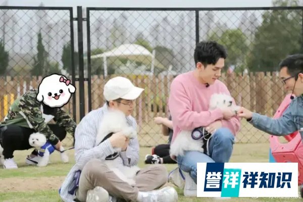 李佳琦直播间的“奈娃家族”诞生记