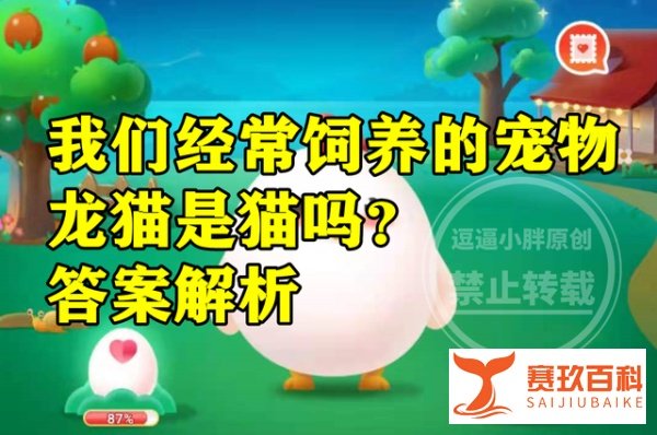我们经常饲养的宠物龙猫是不是猫?蚂蚁庄园答案