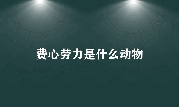 费心劳力是什么动物