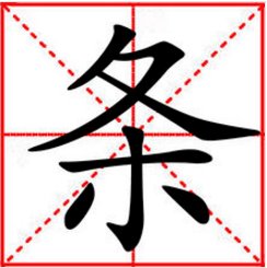 条的结构是什么