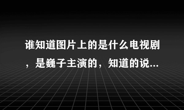 谁知道图片上的是什么电视剧，是巍子主演的，知道的说说，定有重谢