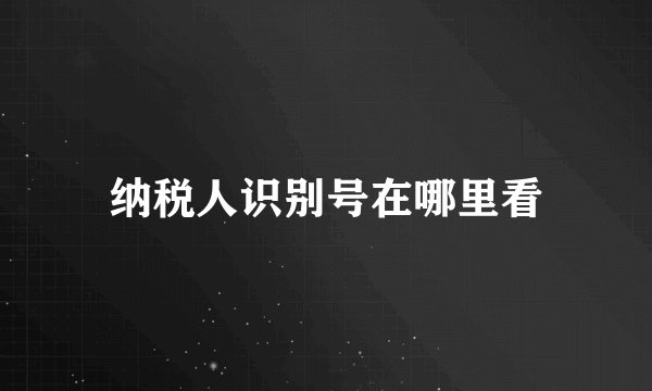 纳税人识别号在哪里看