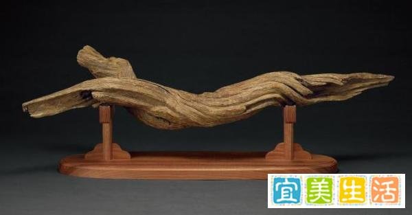 沉香“众香之首”的称号是怎么得来的?