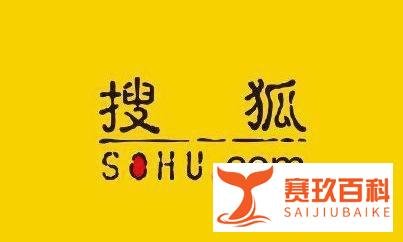 搜狐CEO张朝阳:集团净亏损2000万美元达到最佳预期