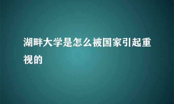 湖畔大学是怎么被国家引起重视的