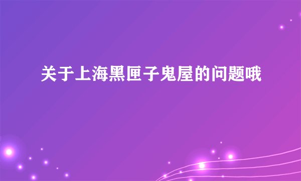 关于上海黑匣子鬼屋的问题哦