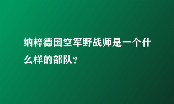 纳粹德国空军野战师是一个什么样的部队？