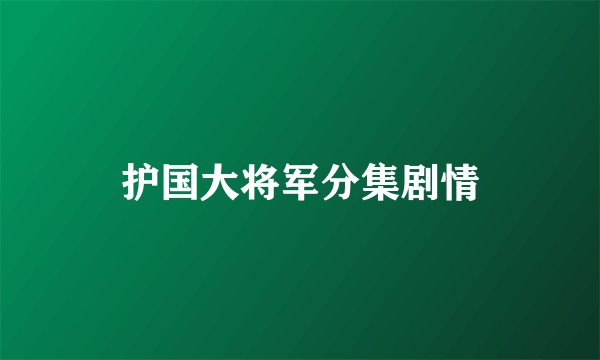 护国大将军分集剧情