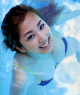 谁动了局长夫人的主要内容