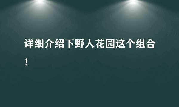 详细介绍下野人花园这个组合！