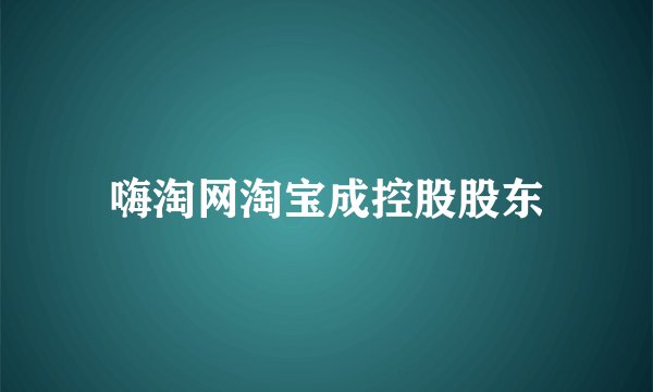 嗨淘网淘宝成控股股东