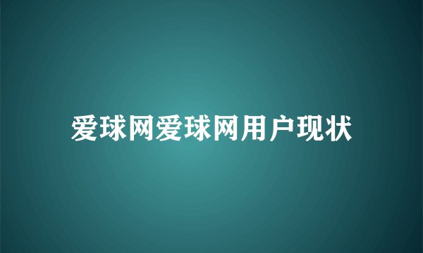 爱球网爱球网用户现状