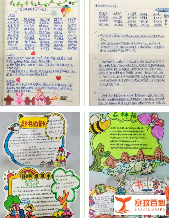 成都市双流区金桥小学——阅读悦美 共浴书香