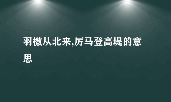 羽檄从北来,厉马登高堤的意思