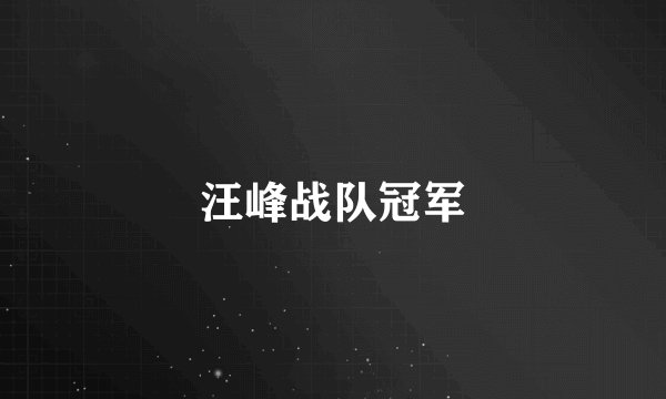 汪峰战队冠军