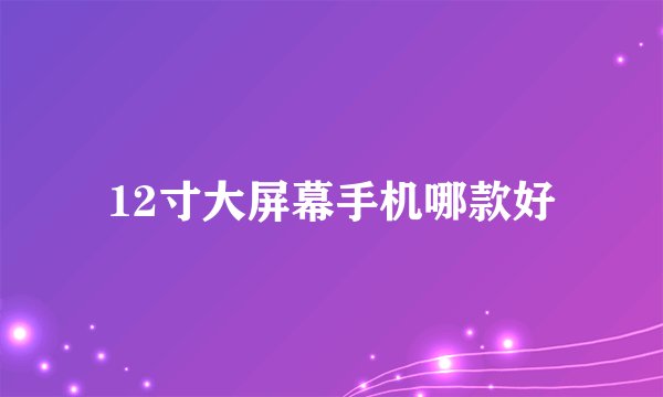12寸大屏幕手机哪款好