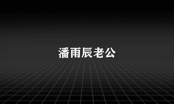 潘雨辰老公