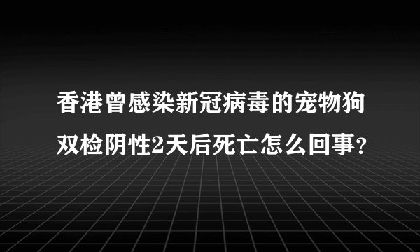 香港曾感染新冠病毒的宠物狗双检阴性2天后死亡怎么回事？