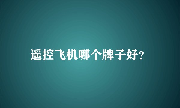 遥控飞机哪个牌子好？