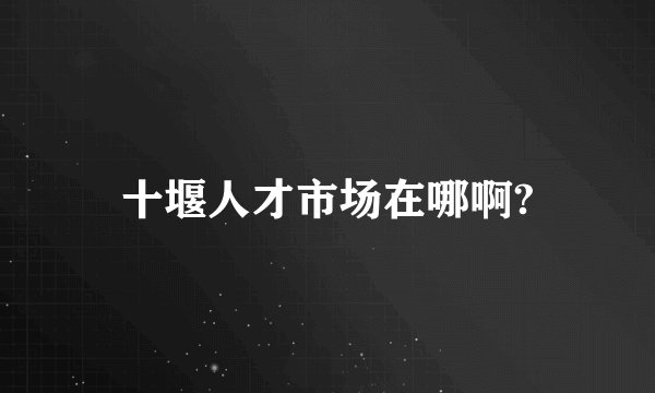 十堰人才市场在哪啊?