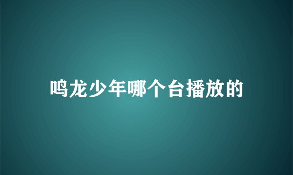 鸣龙少年哪个台播放的