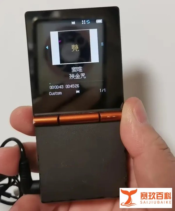 当年1099元的HiFi播放器,如今二手95元,支持无损播放