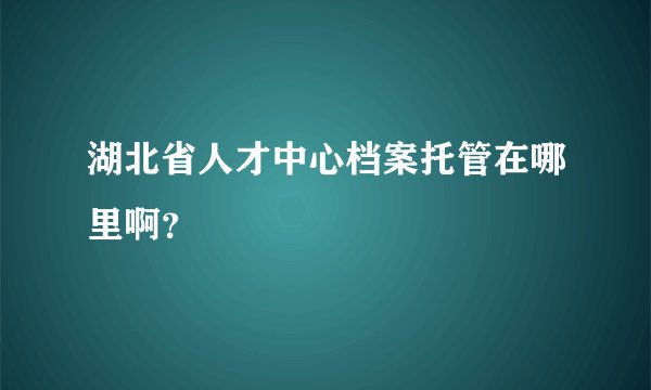 湖北省人才中心档案托管在哪里啊？