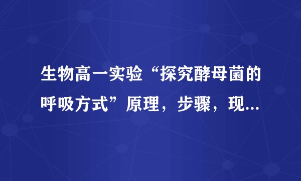 生物高一实验“探究酵母菌的呼吸方式”原理，步骤，现象及结论，及重点（简短~~）非常感谢~~
