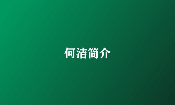 何洁简介