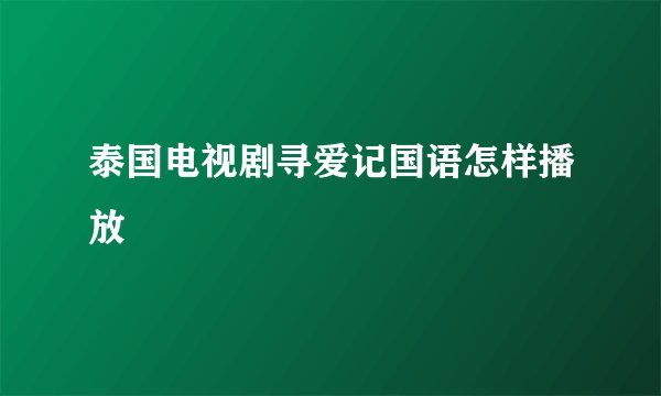 泰国电视剧寻爱记国语怎样播放
