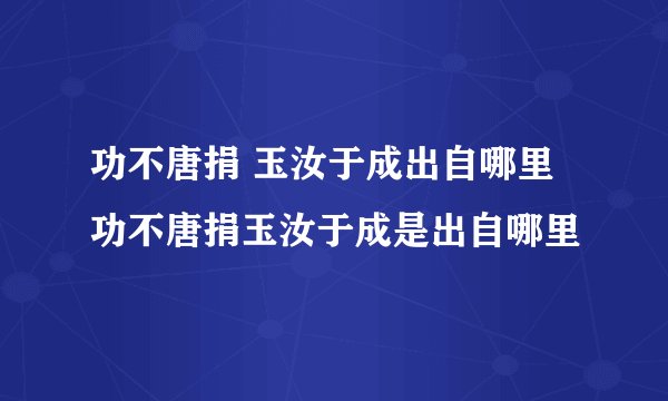 功不唐捐 玉汝于成出自哪里 功不唐捐玉汝于成是出自哪里
