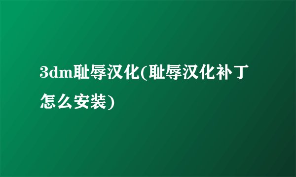 3dm耻辱汉化(耻辱汉化补丁怎么安装)