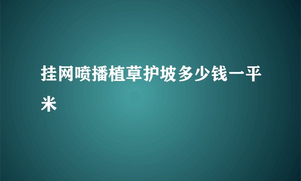挂网喷播植草护坡多少钱一平米