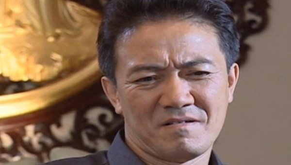 李幼斌主演的电视剧粮食厅长