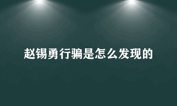 赵锡勇行骗是怎么发现的