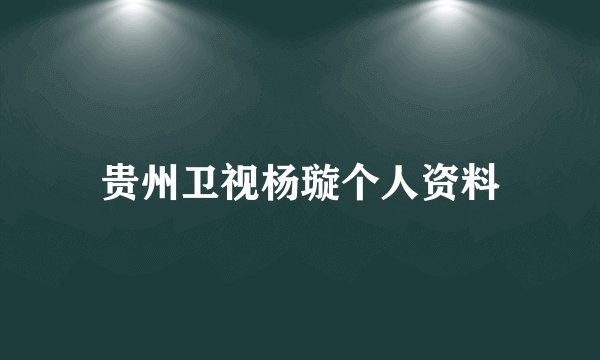 贵州卫视杨璇个人资料