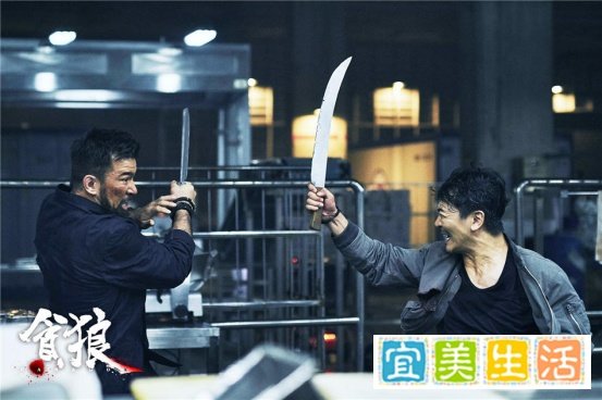 《杀破狼3》首日票房超《战狼2》，国产动作片将迎新高峰？