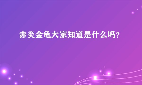 赤炎金龟大家知道是什么吗？