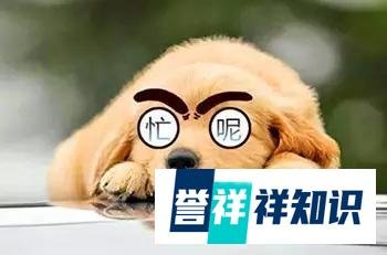 24岁工程师猝死！不抽烟不喝酒，也抵不过做这事